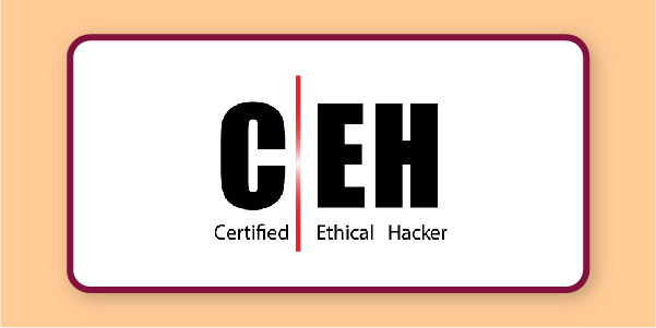 CEH holder knows how to seek threats and vulnerabilities in computer systems with the help of malicious hacking tools.