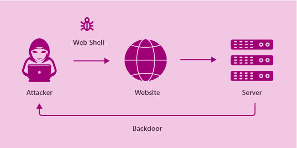 Web shells are commonly used for data theft and drive-by malware installation, but they are also used to establish and organize botnets for distributed denial of service (DDoS) assaults. 