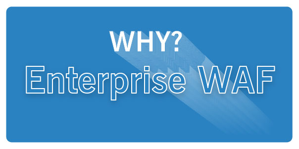 Web Application Firewalls help enterprises protect internal and public data and applications WAF helps companies evade costly data breaches and downtime